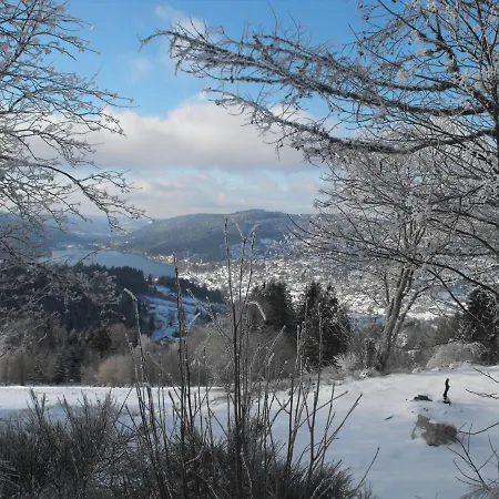 Large And Cosy Chalet Beautiful Surroundings Gerbépal